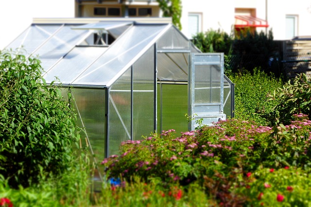 skleník v zahradě