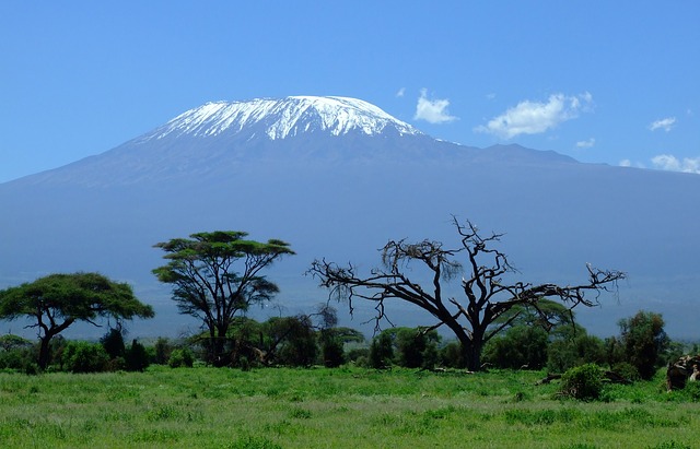 Kilimanjaro a krajina pod ním